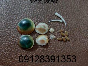 دعای مهره مار برای جذب معشوق و ازدواج دعای مهره مار برای جذب معشوق و ازدواج