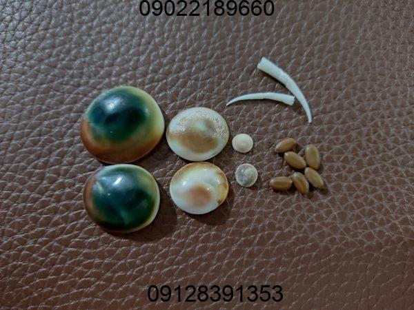 دعای مهره مار برای جذب معشوق و ازدواج