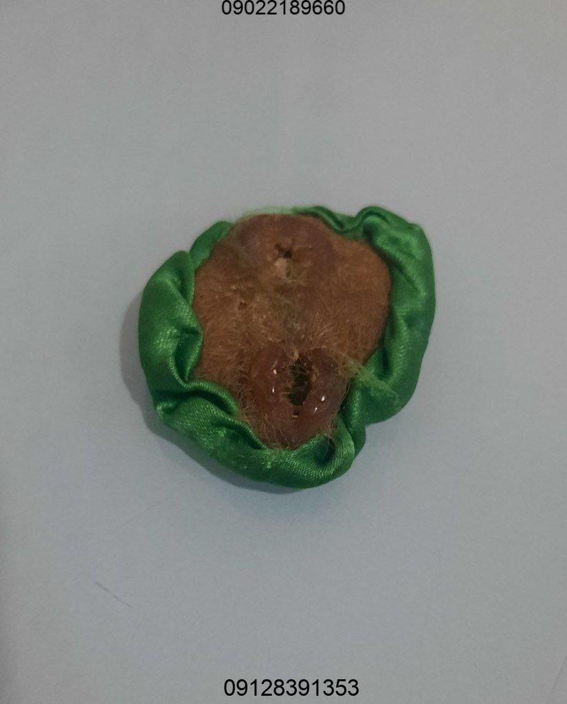 طلسم ناموس کفتار - دعای ناموس کفتار