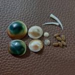 دعای مهره مار کبیره مشکل گشا