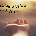 دعا برای پیدا شدن حیوان گمشده