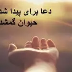 دعا برای پیدا شدن حیوان گمشده دعا برای پیدا شدن حیوان گمشده