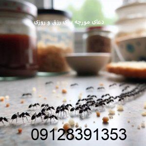 دعای مورچه برای رزق و روزی