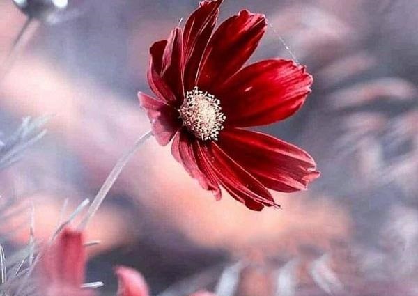 دعای اول صبح برای شروع کار